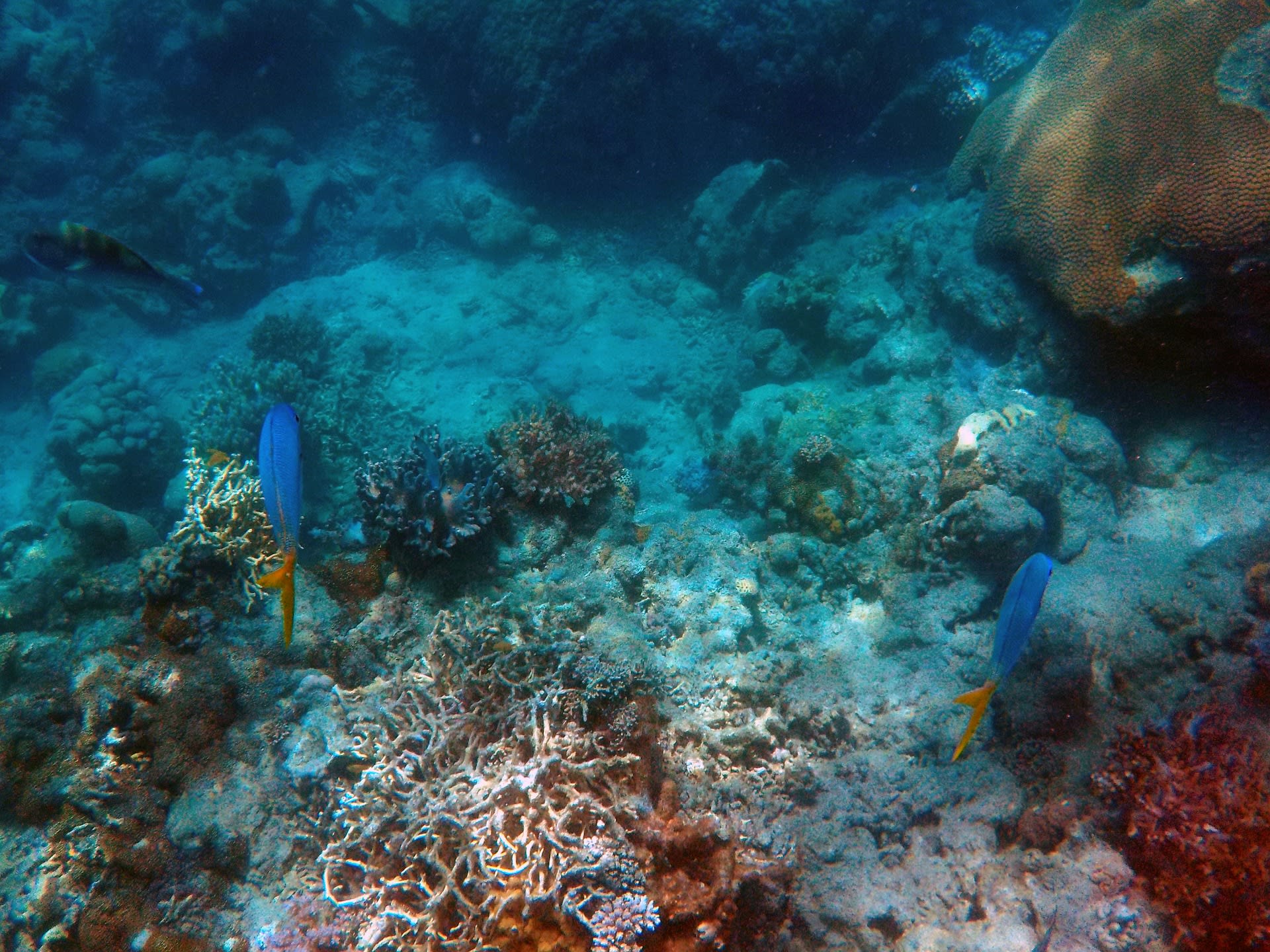 MFS - Under the Sea.jpg